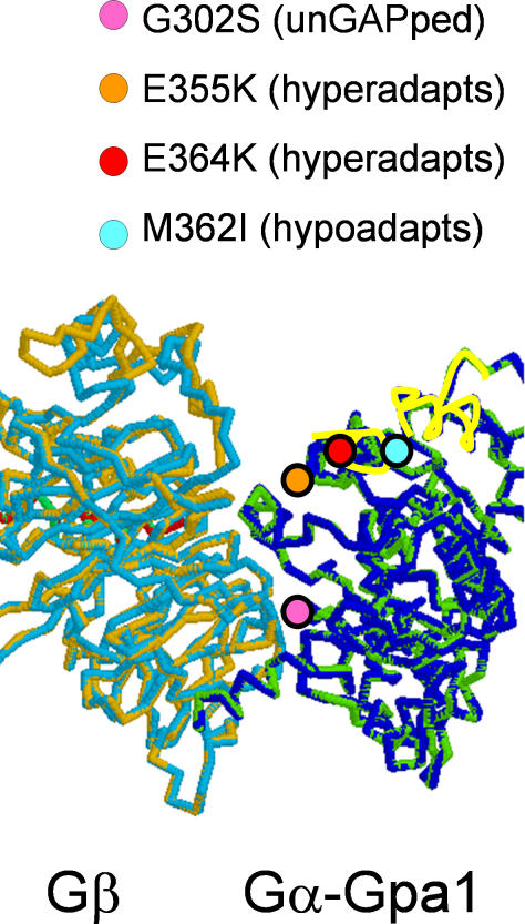 Figure 10