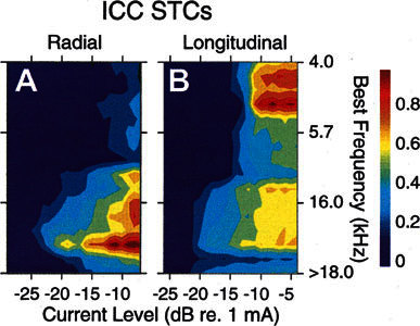 Figure 11