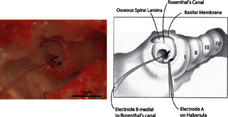 Figure 6