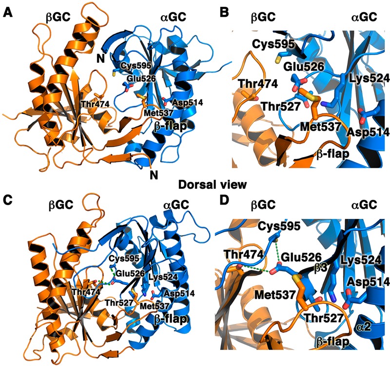 Figure 4