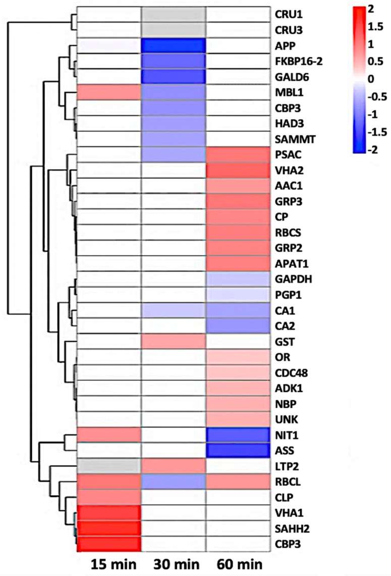 Figure 7