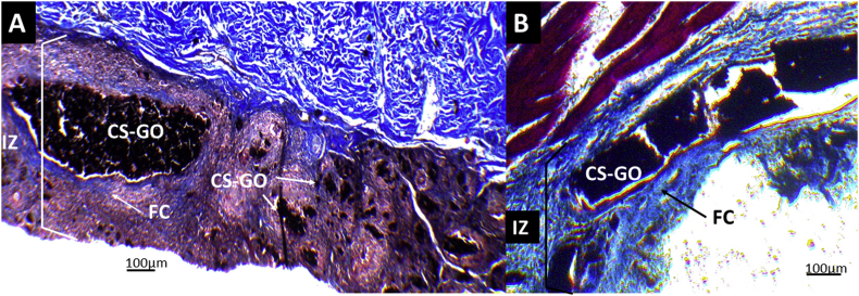 Figure 10