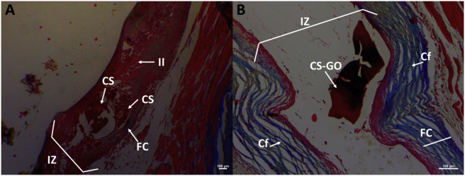 Figure 9