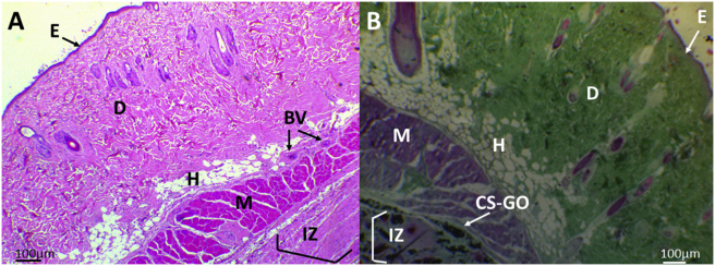 Figure 7