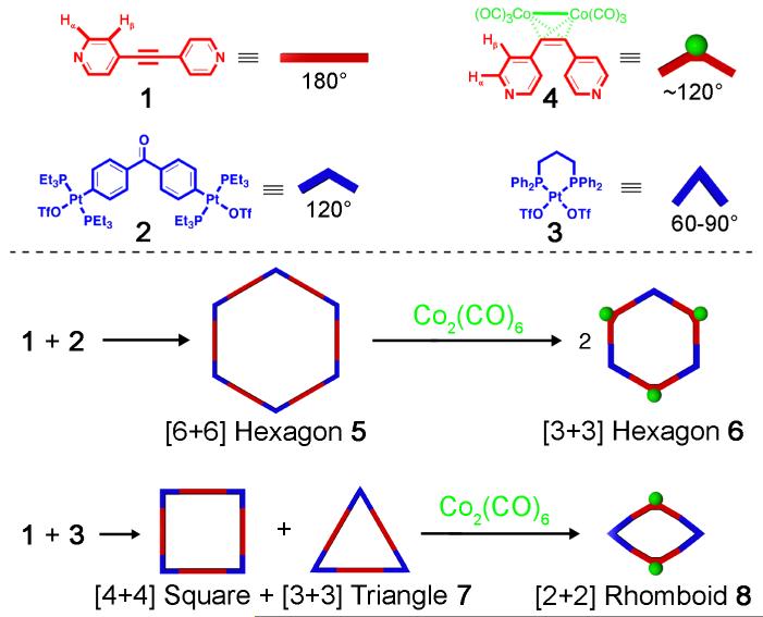 Scheme 2