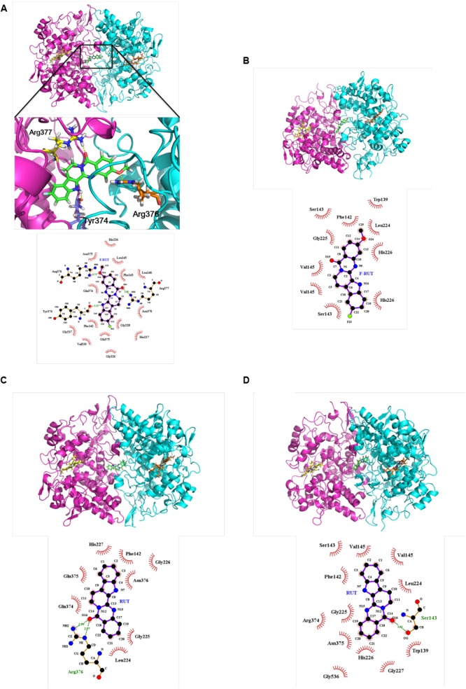 FIGURE 3