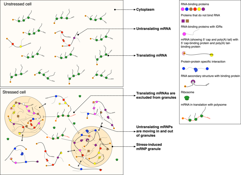 Figure 3: