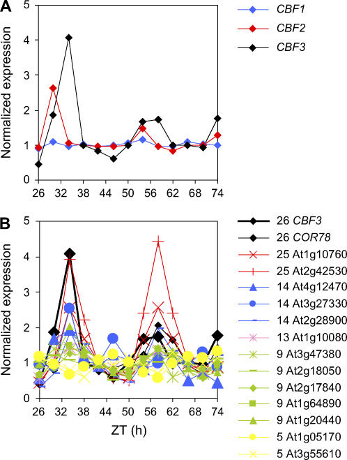 Figure 6.