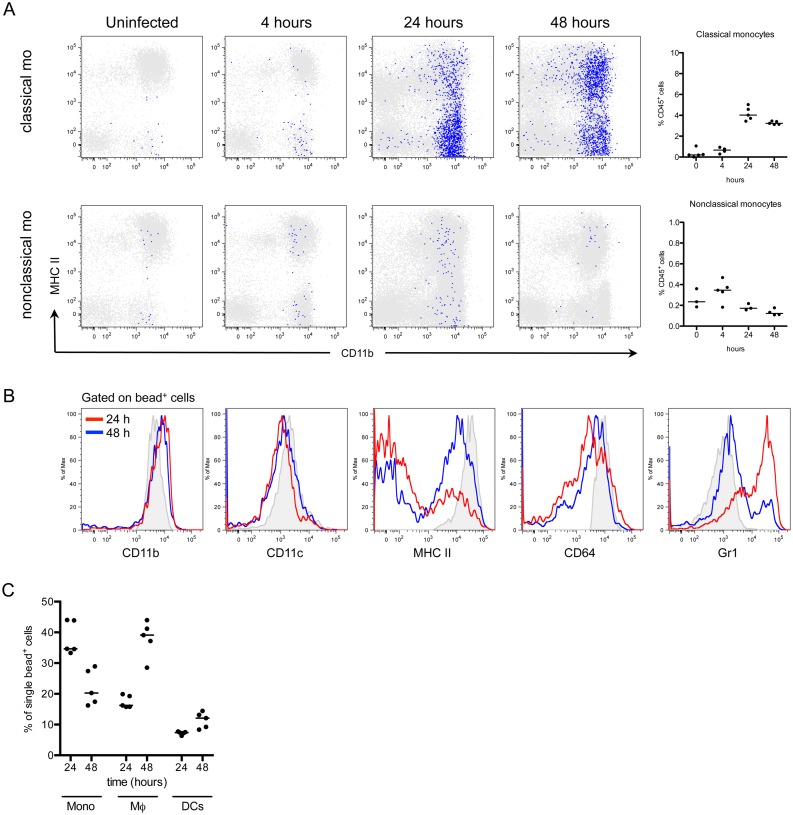 Fig 3