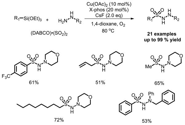 Fig. 13