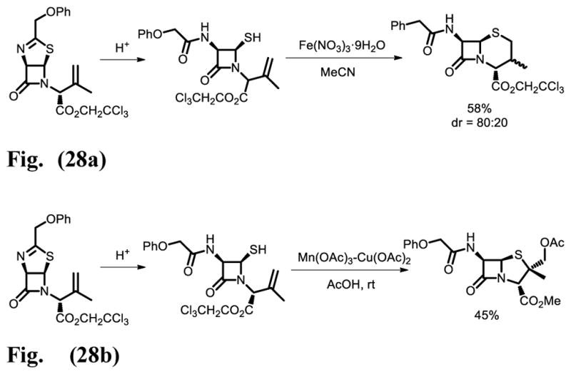 Fig. 28