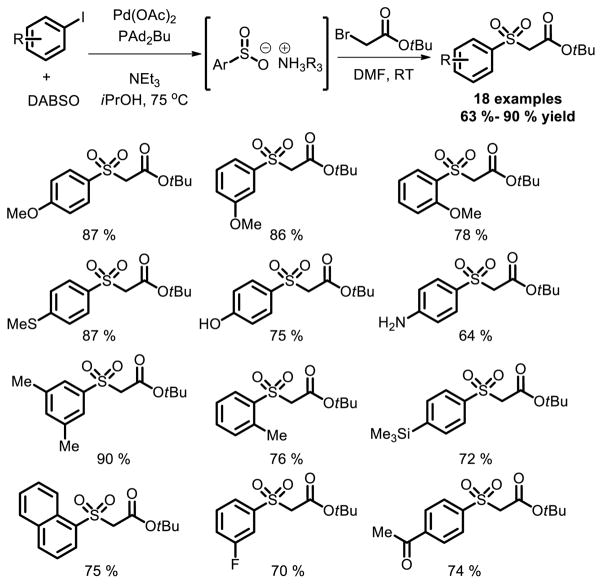 Fig. 24