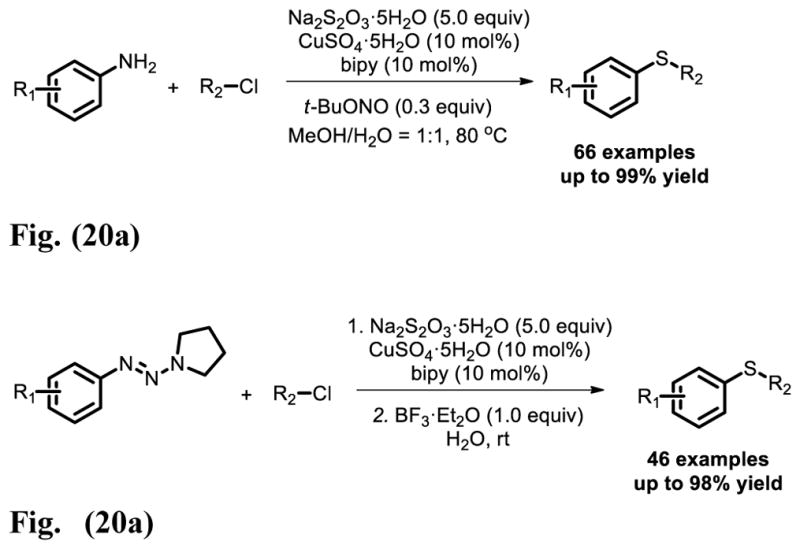 Fig. 20