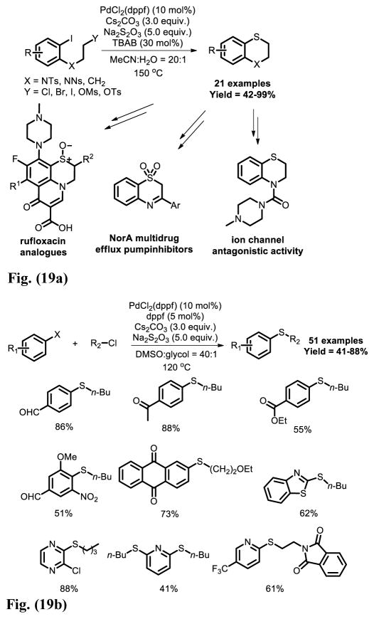 Fig. 19