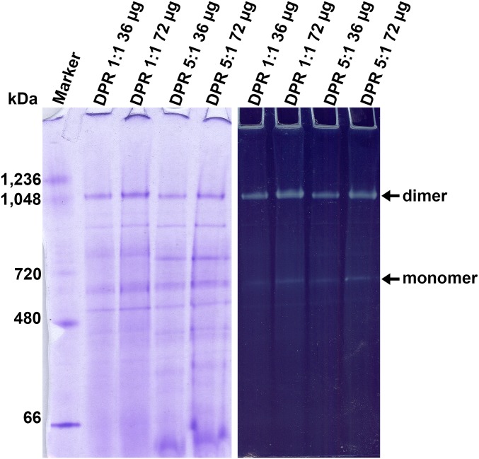 Fig. S5.