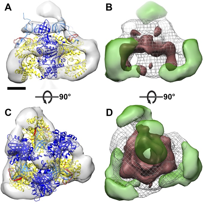 Fig. S3.