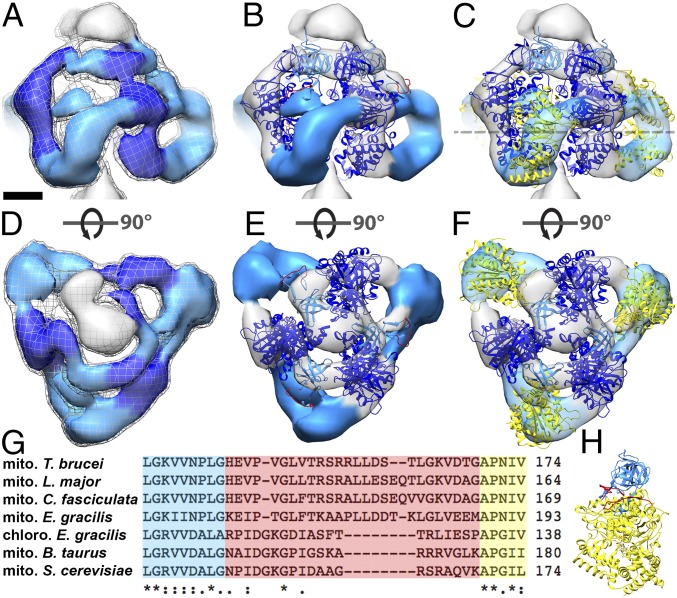 Fig. 2.