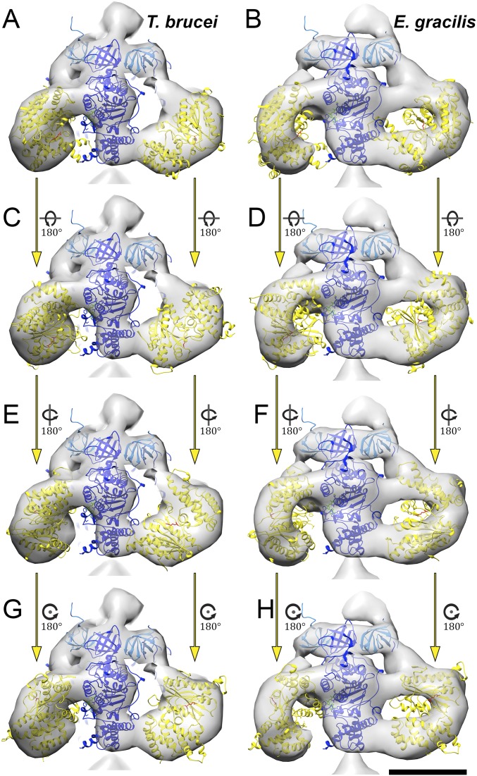 Fig. S4.