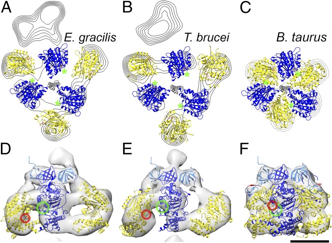 Fig. 4.