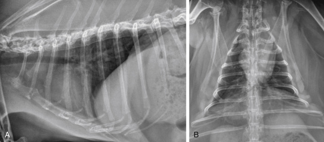 Fig. 20-1
