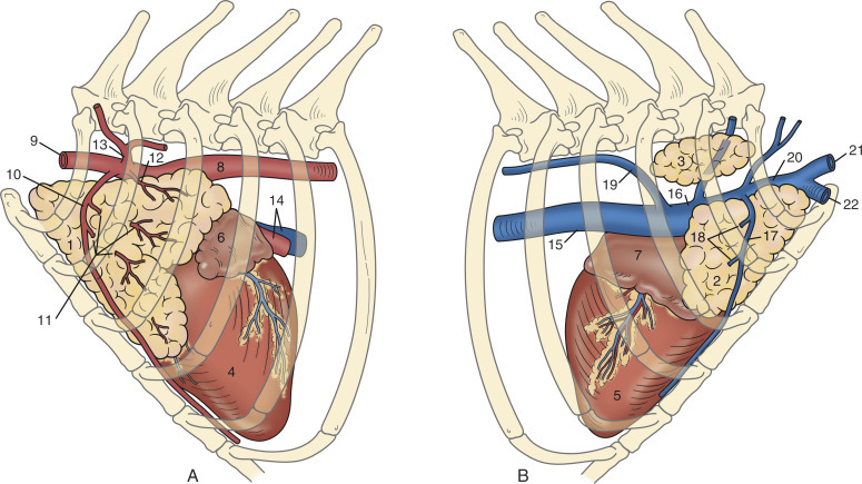 Fig. 20-4