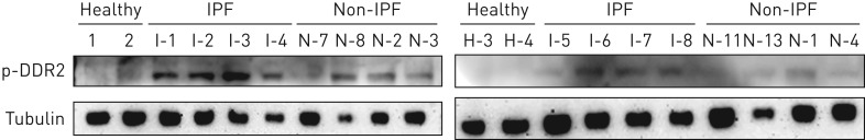 FIGURE 5