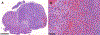 Figure 12: