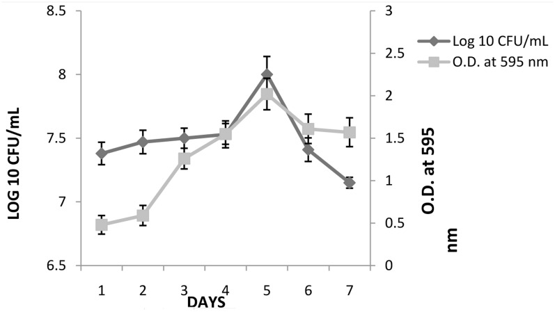 FIGURE 2