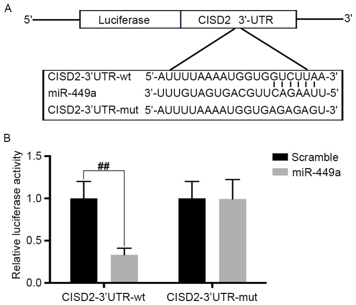 Figure 7.