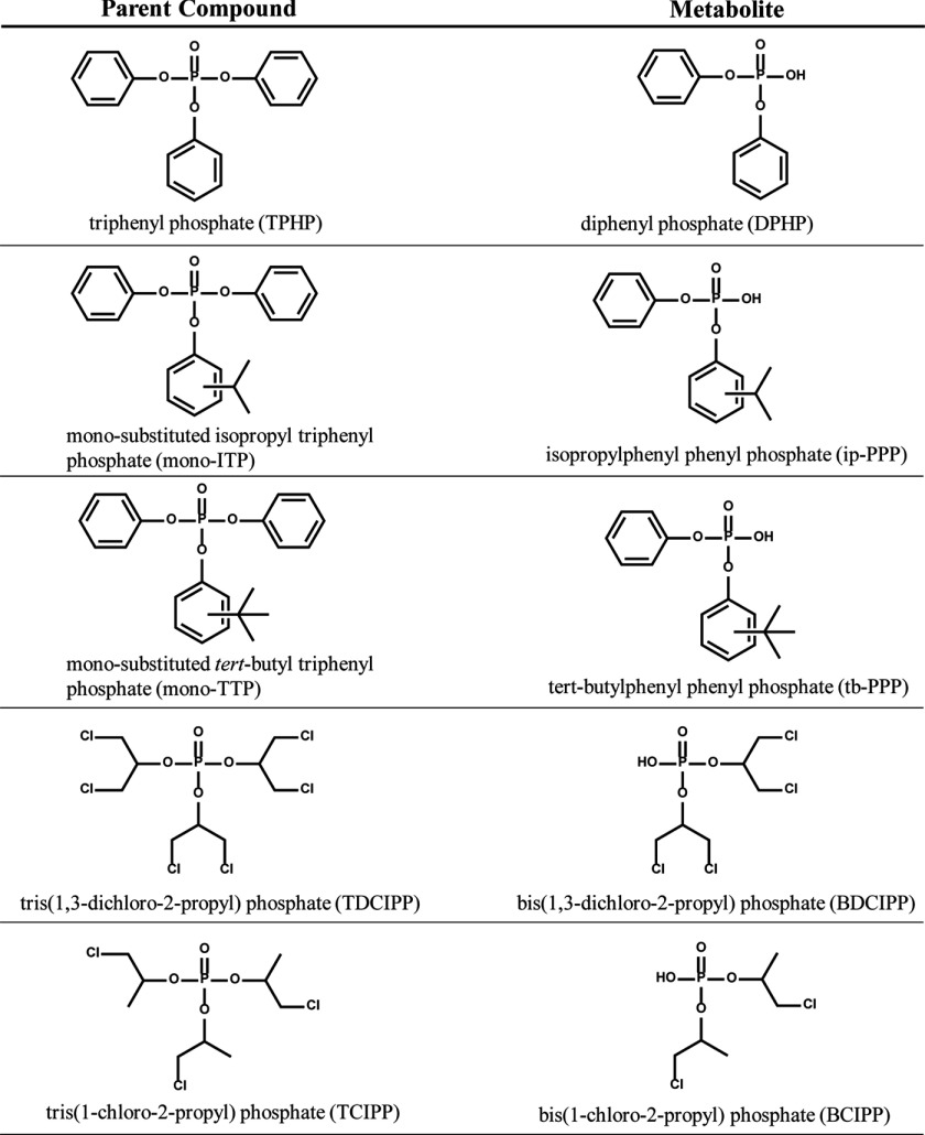 Chemical structures of parent compounds triphenyl phosphate (TPHP), mono-substituted isopropyl triphenyl phosphate (mono-ITP), mono-substituted tert-butyl triphenyl phosphate (mono-TTP), tris(1,3-dichloro-2-propyl) phosphate (TDCIPP), and tris(1-chloro-2-propyl) phosphate (TCIPP), and their corresponding metabolites, diphenyl phosphate (DPHP), isopropylphenyl phenyl phosphate (ip-PPP), tert-butylphenyl phenyl phosphate (tb-PPP), bis(1,3-dichloro-2-propyl) phosphate (BDCIPP), and bis(1-chloro-2-propyl) phosphate (BCIPP).