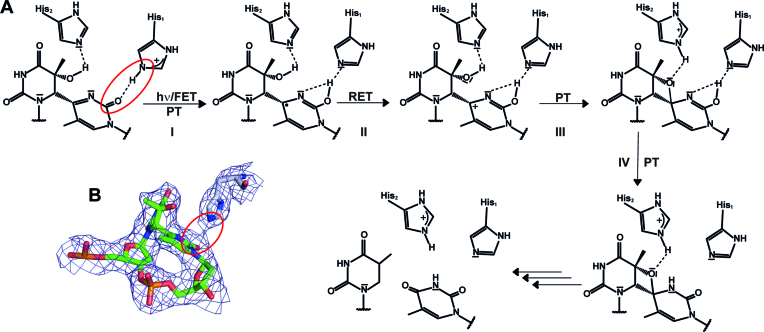 Figure 7.