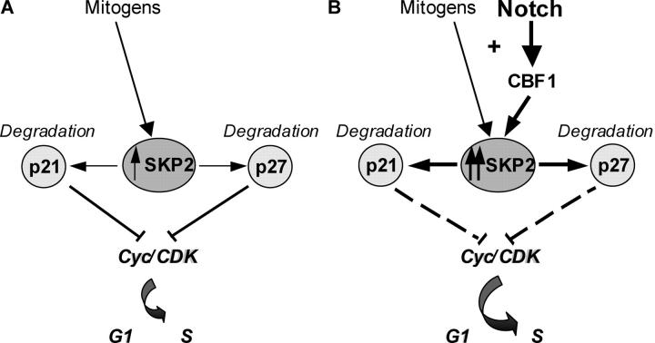 Figure 9.