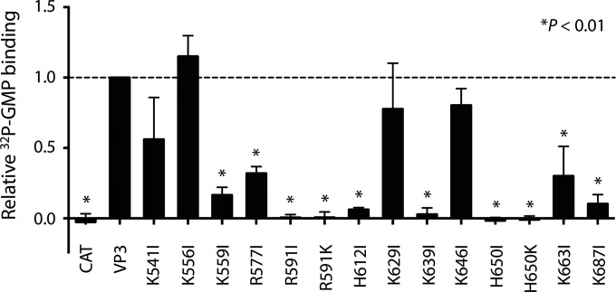 FIG 8