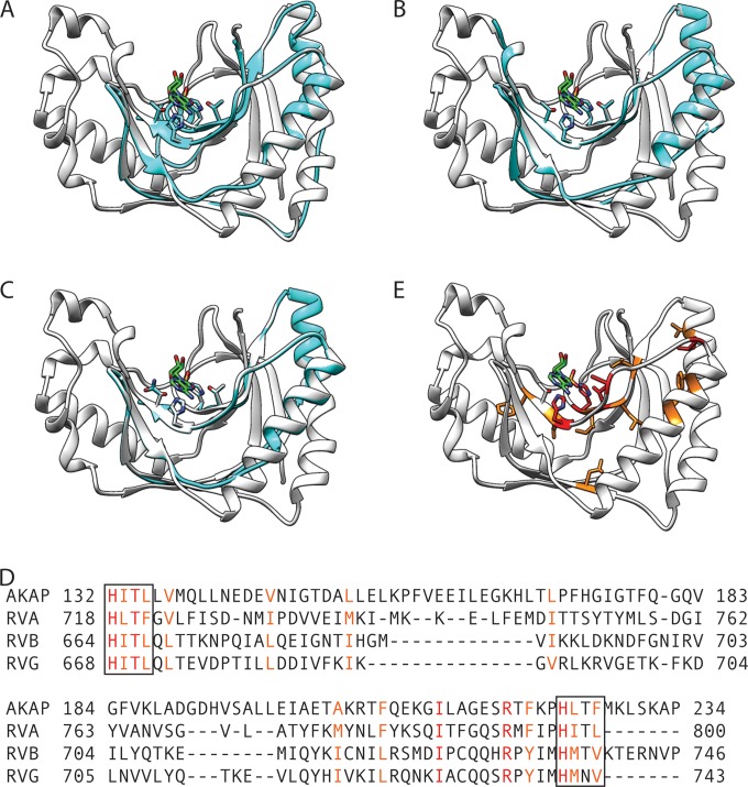 FIG 6