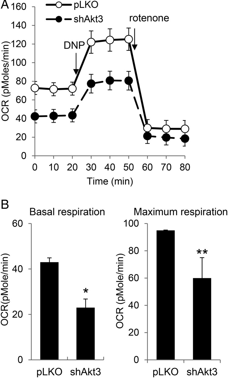 Figure 3.