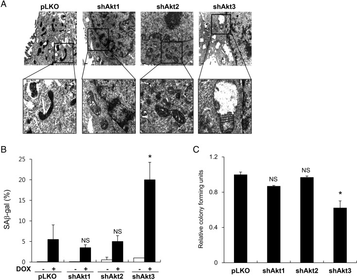 Figure 2.