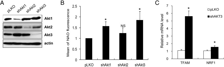 Figure 1.