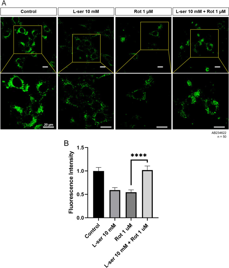 Fig. 4