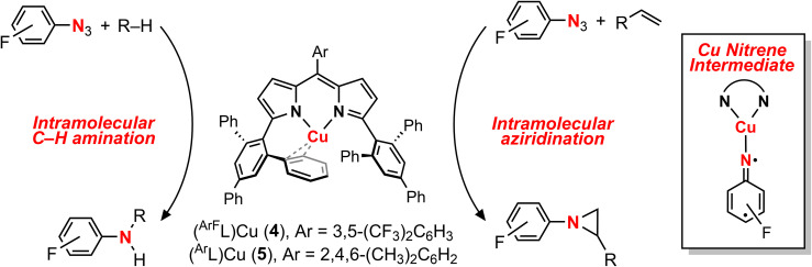 Scheme 2