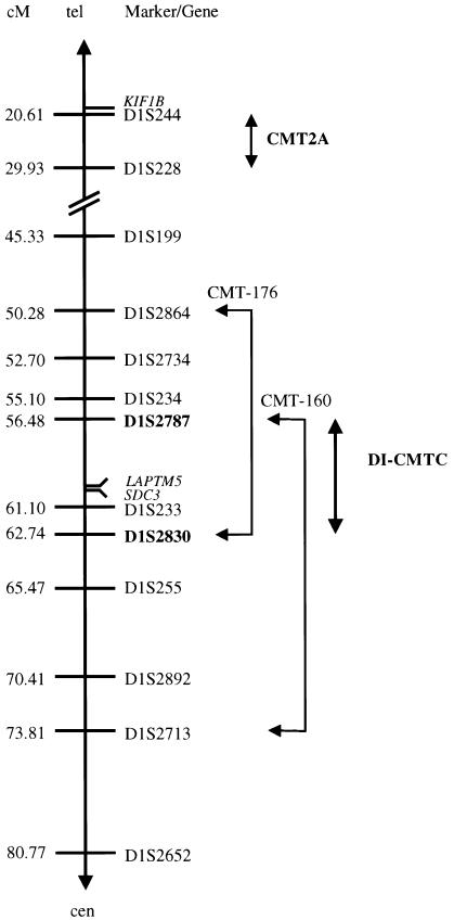 Figure  2