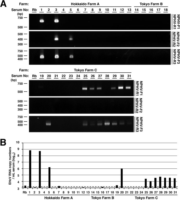 FIG 1