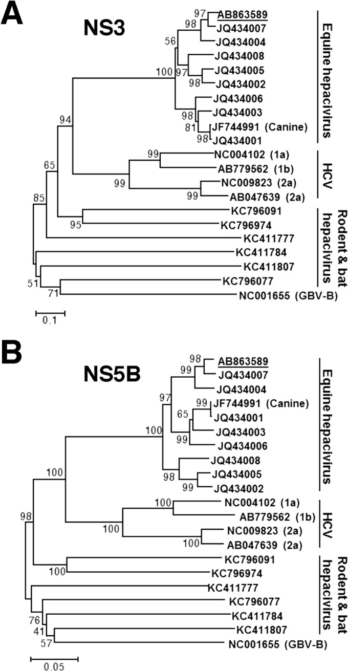 FIG 3