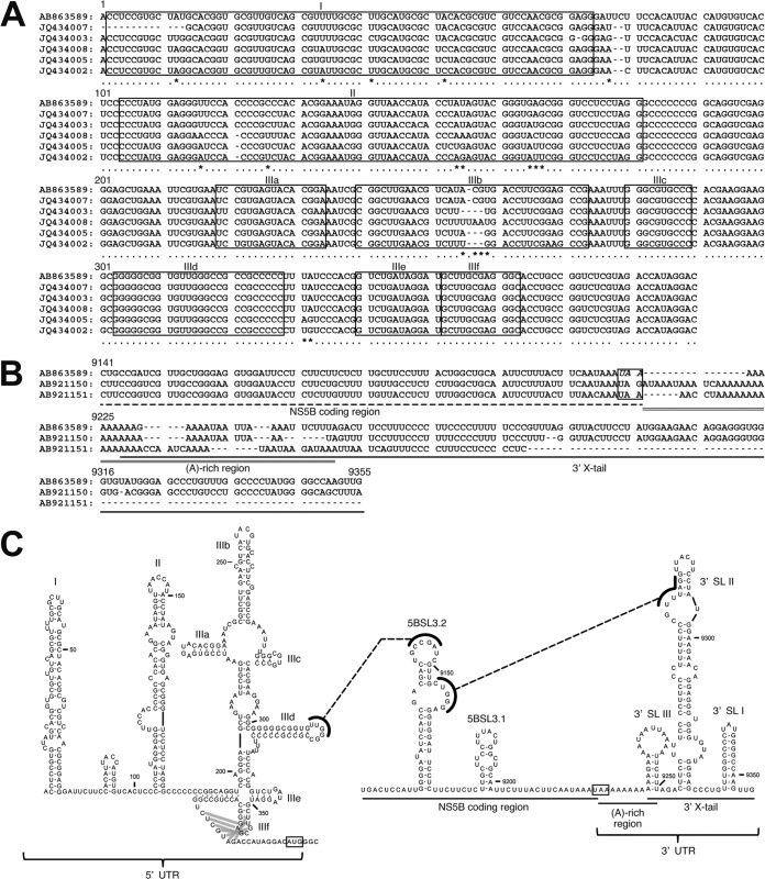 FIG 4