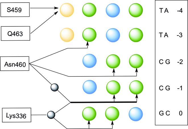 Figure 4.