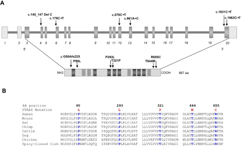 Figure  5. 