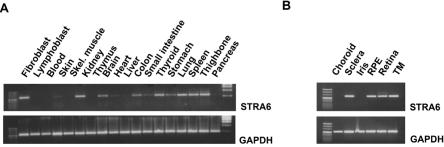 Figure  7. 