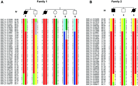 Figure  4. 