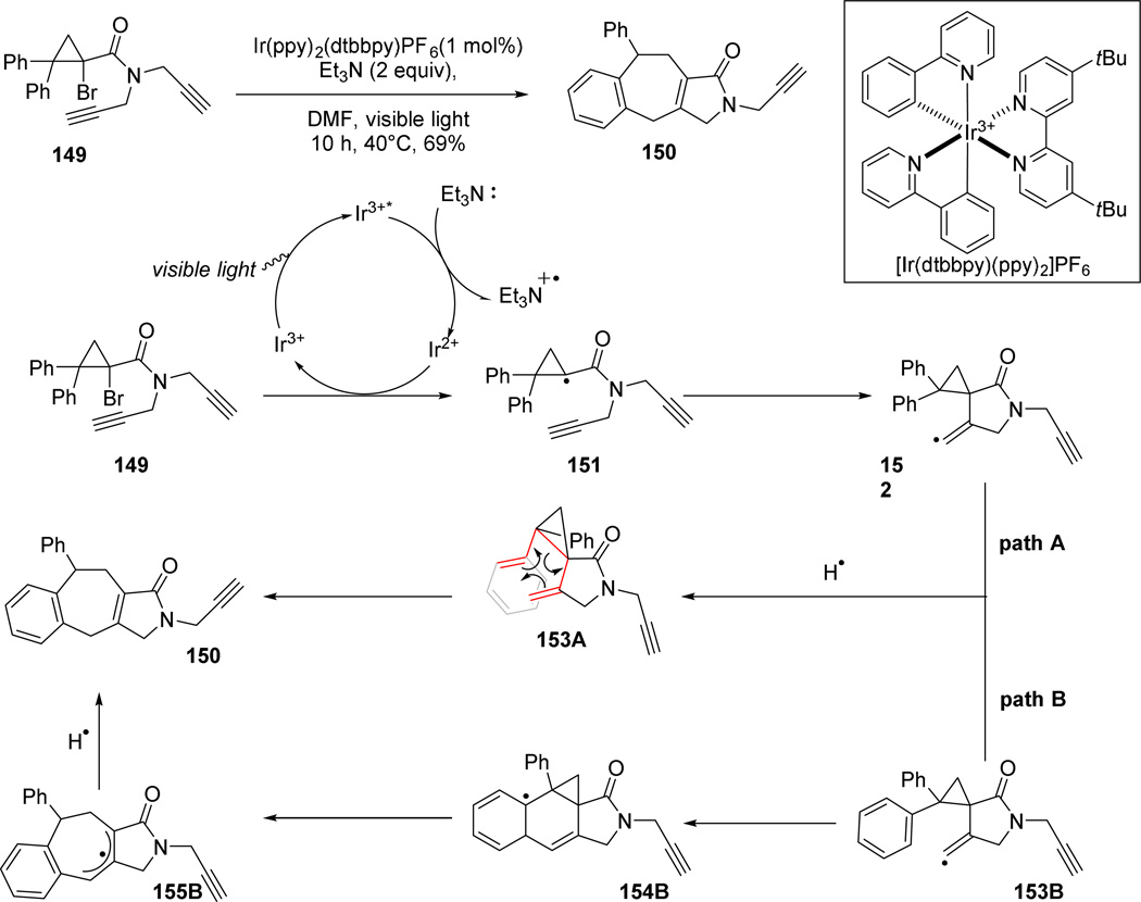 Figure 24