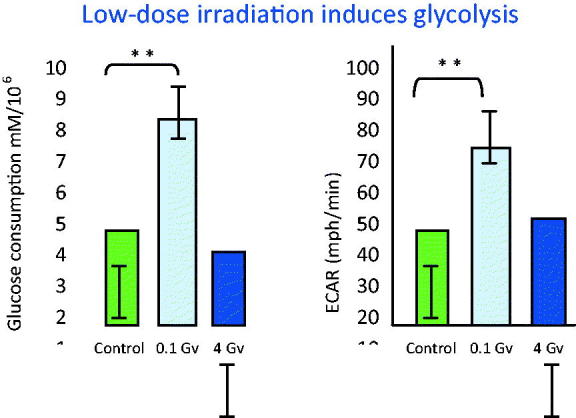 Figure 10. 