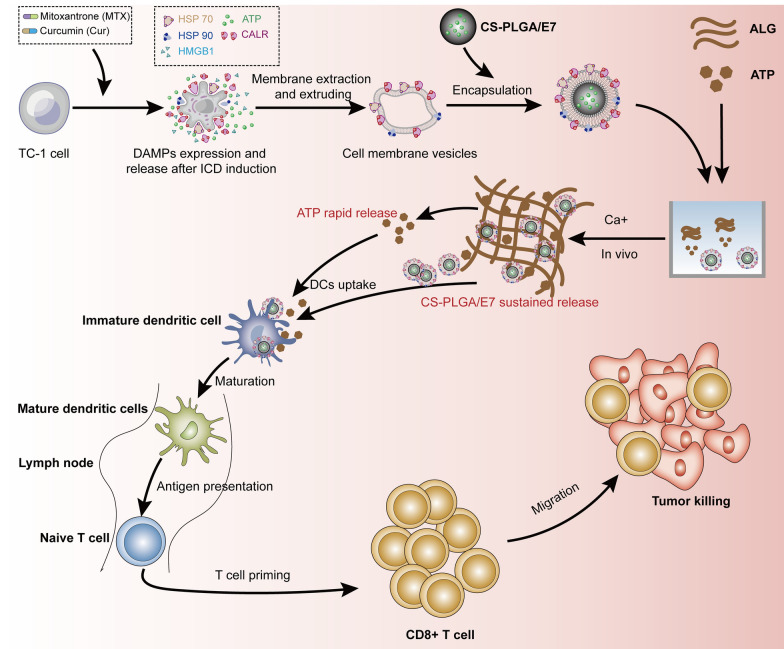 graphic file with name 12951_2023_2031_Figa_HTML.jpg